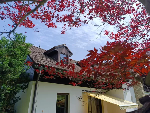 Pohled na dům ze zahrady