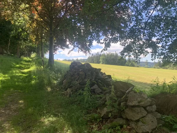 Okolí